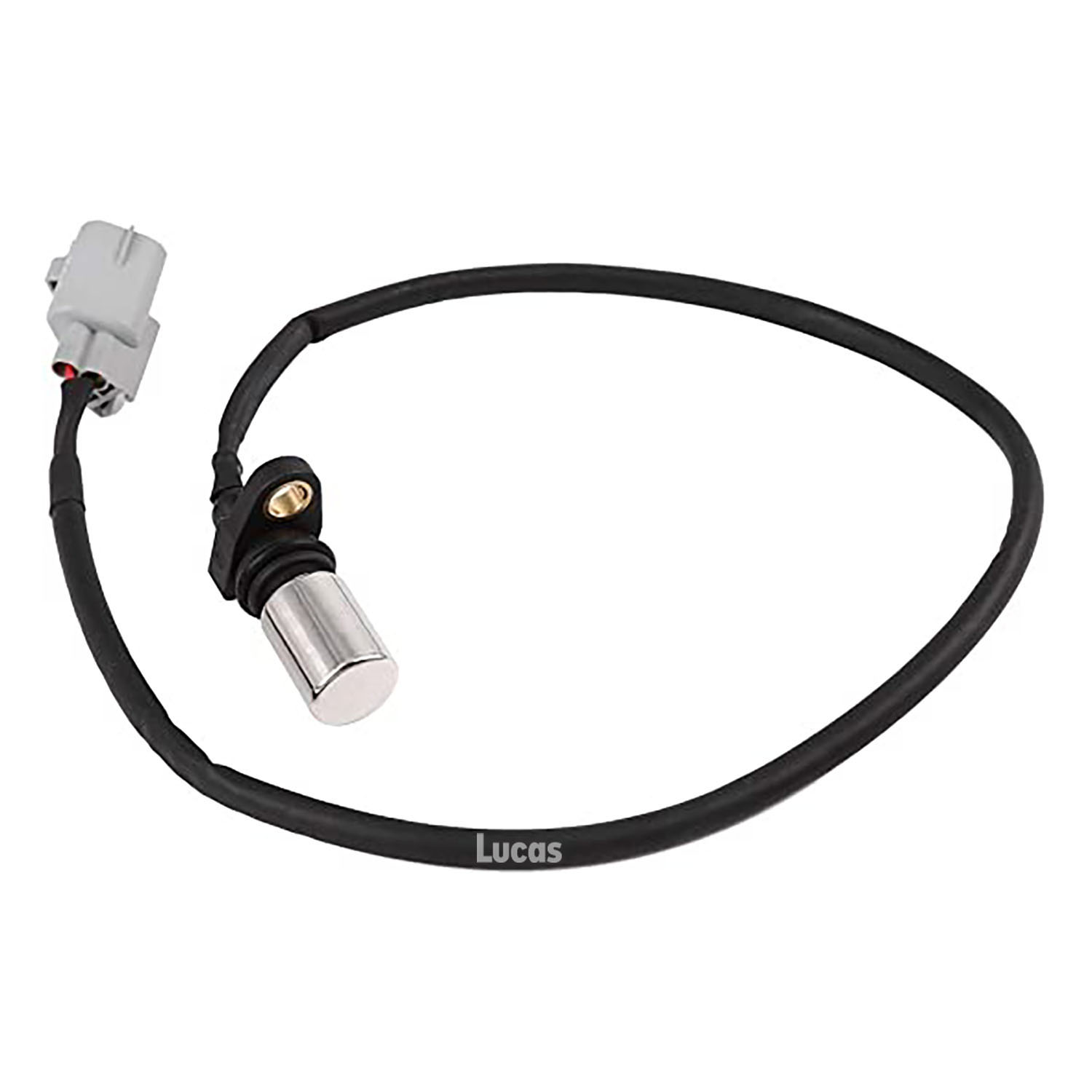 Lucas LEMSR255