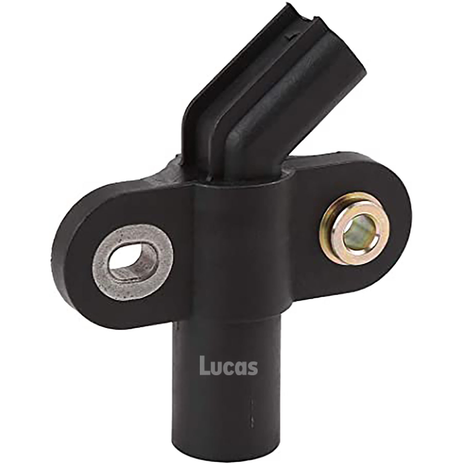 Lucas LEMSR259