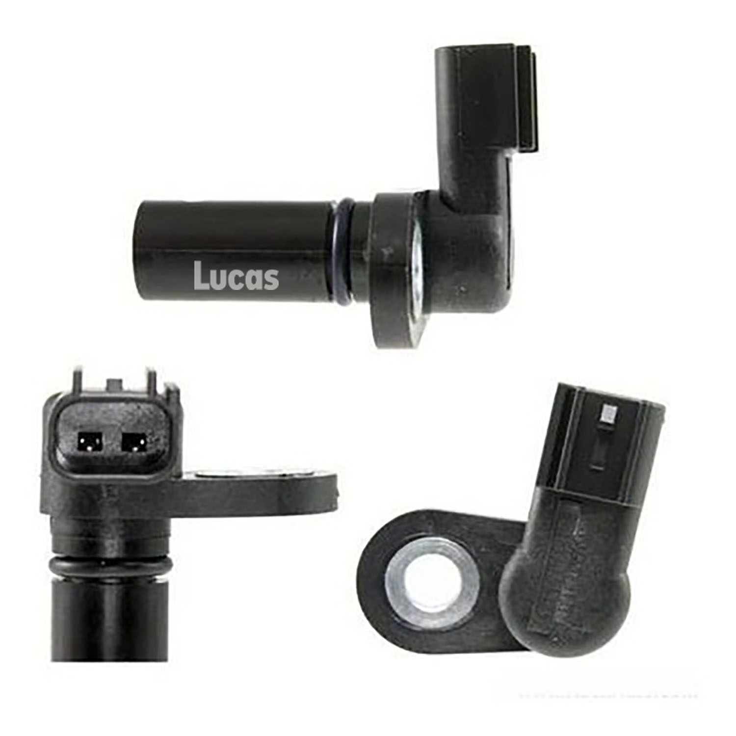 Lucas LEMSR261