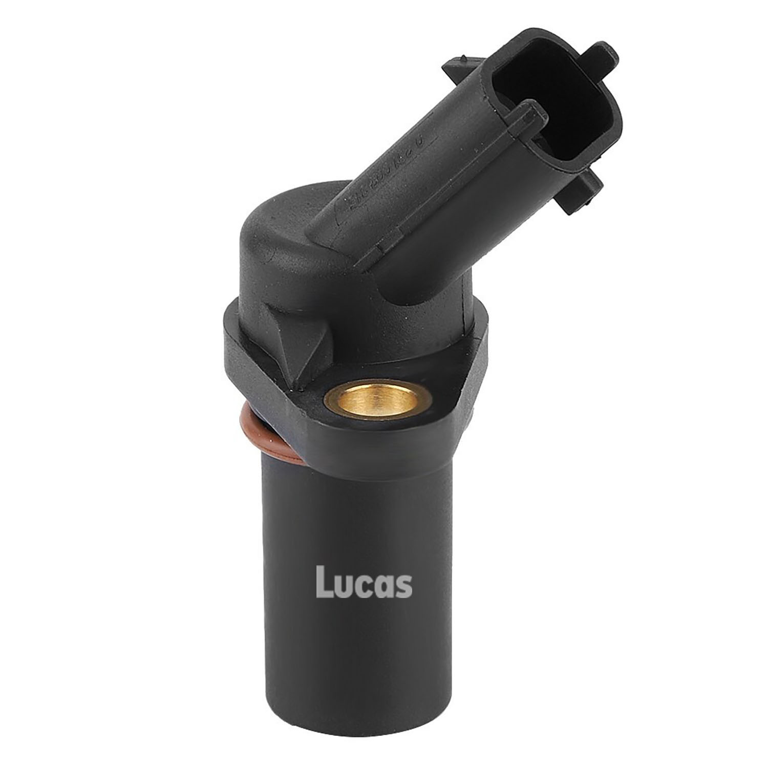 Lucas LEMSR263