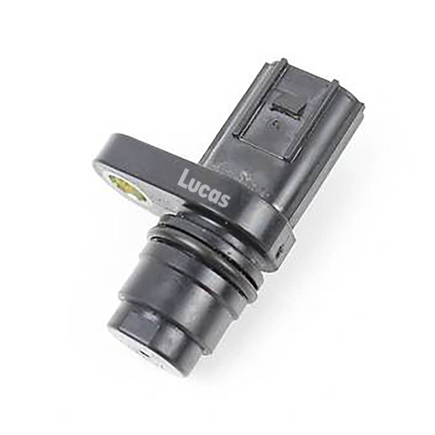 Lucas LEMSR273