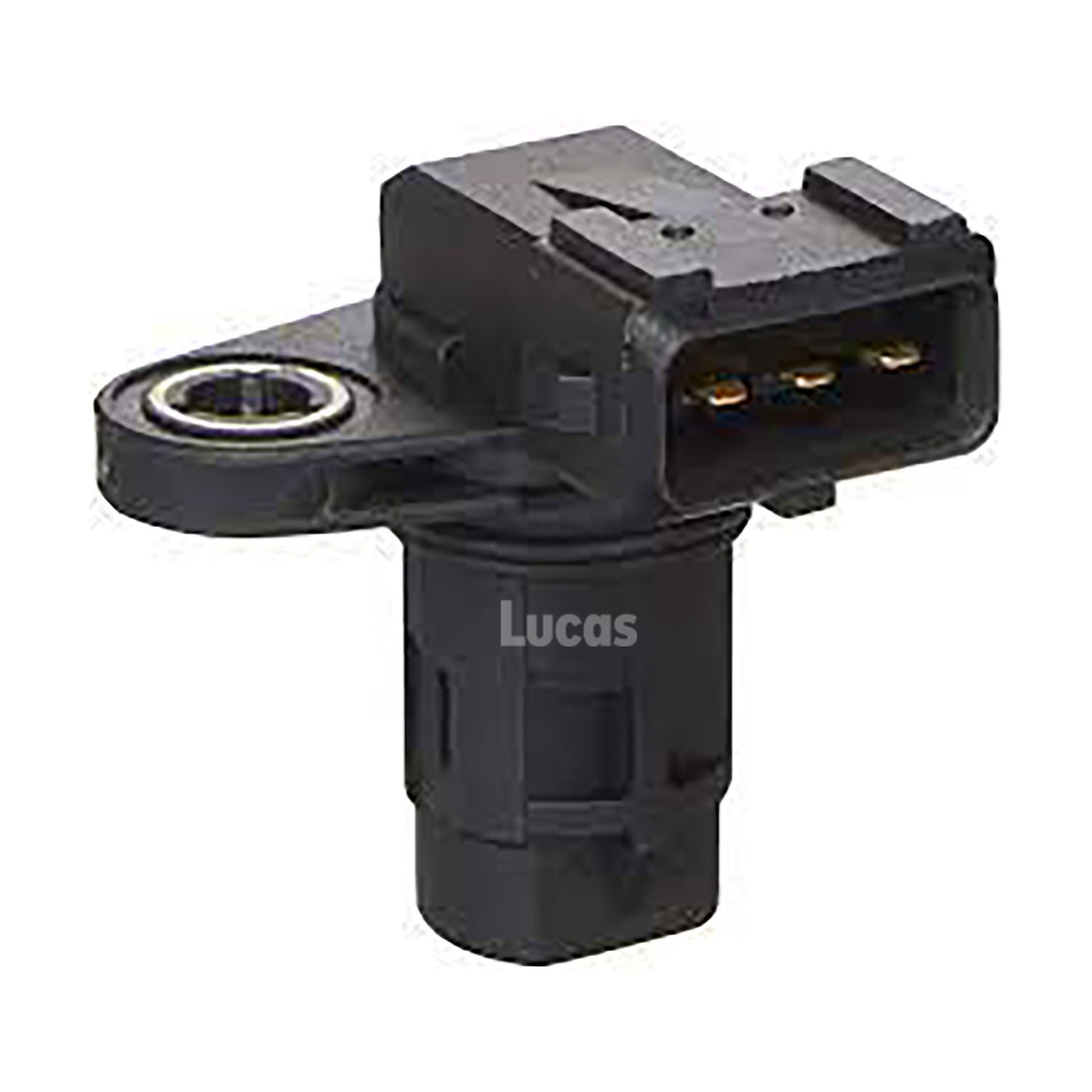 Lucas LEMSR276