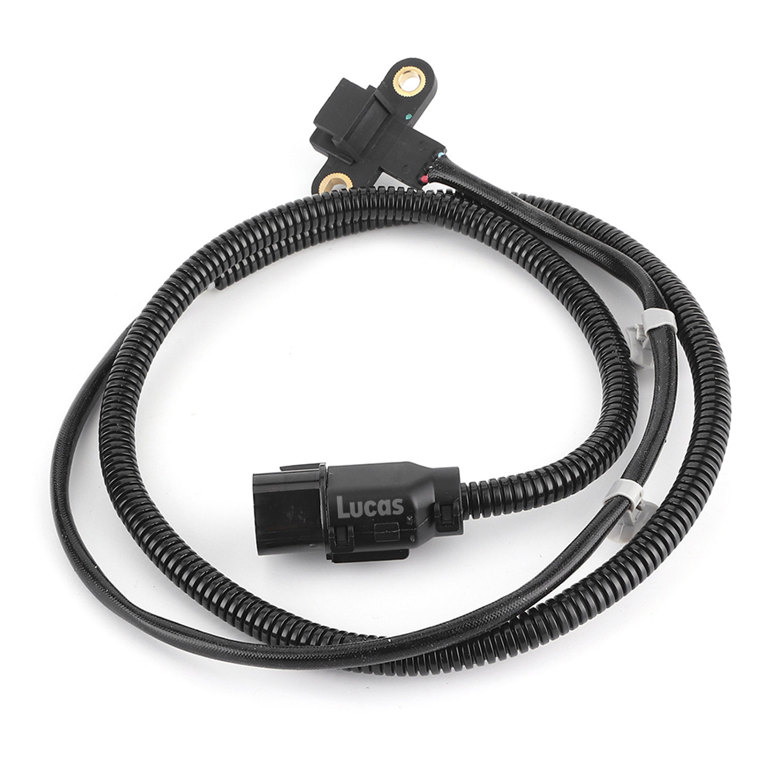 Lucas LEMSR281