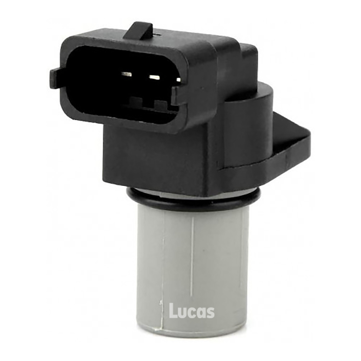 Lucas LEMSR283