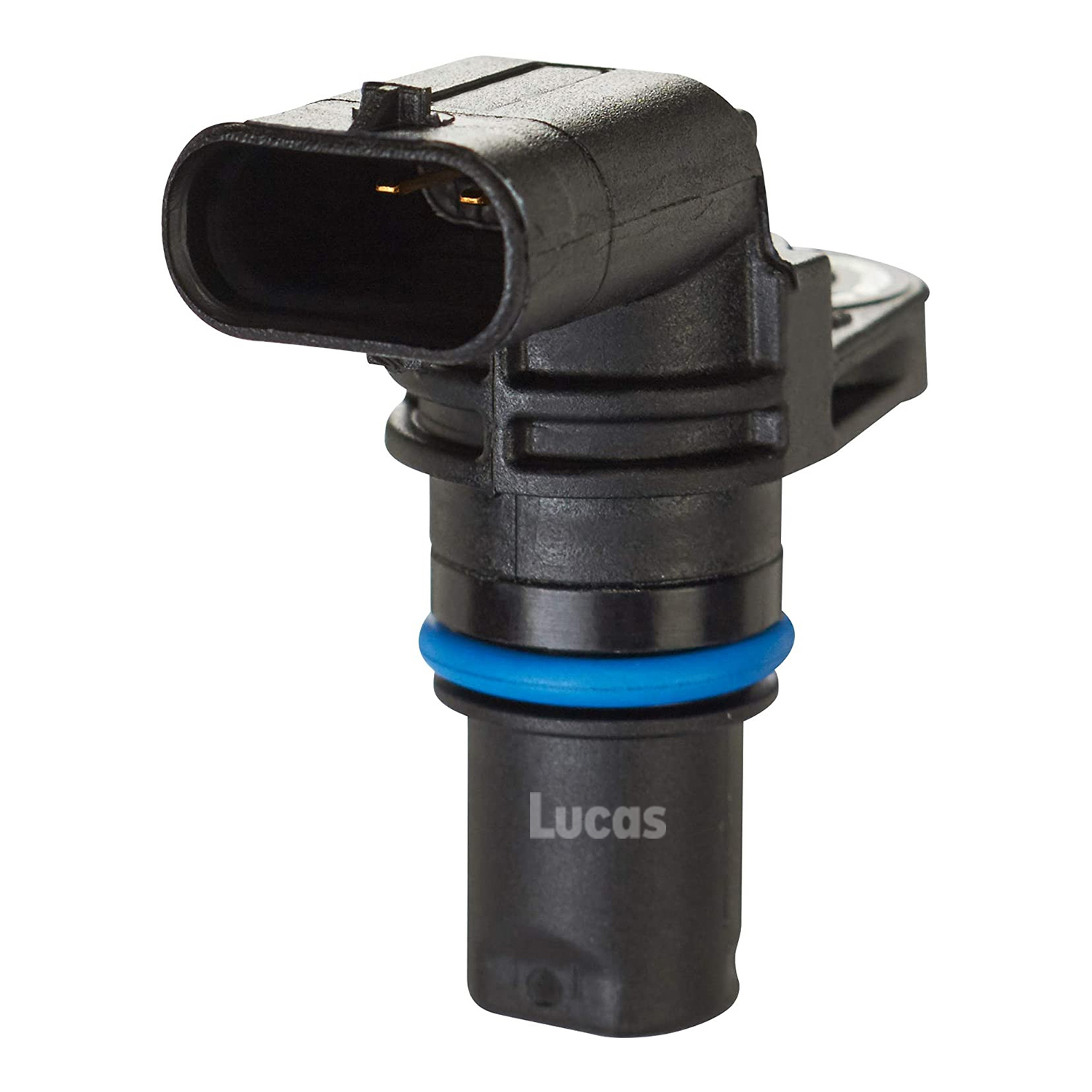 Lucas LEMSR287
