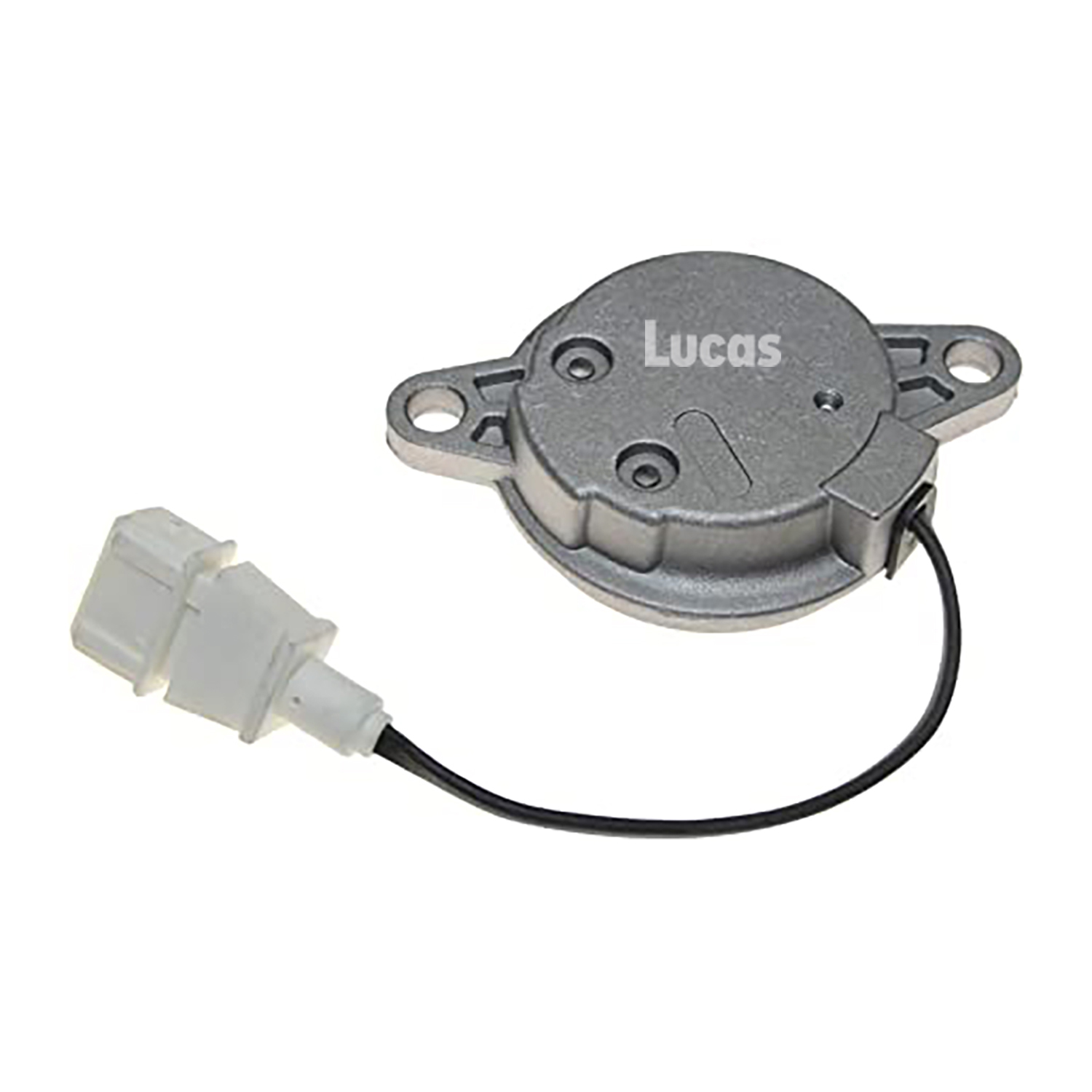 Lucas LEMSR291