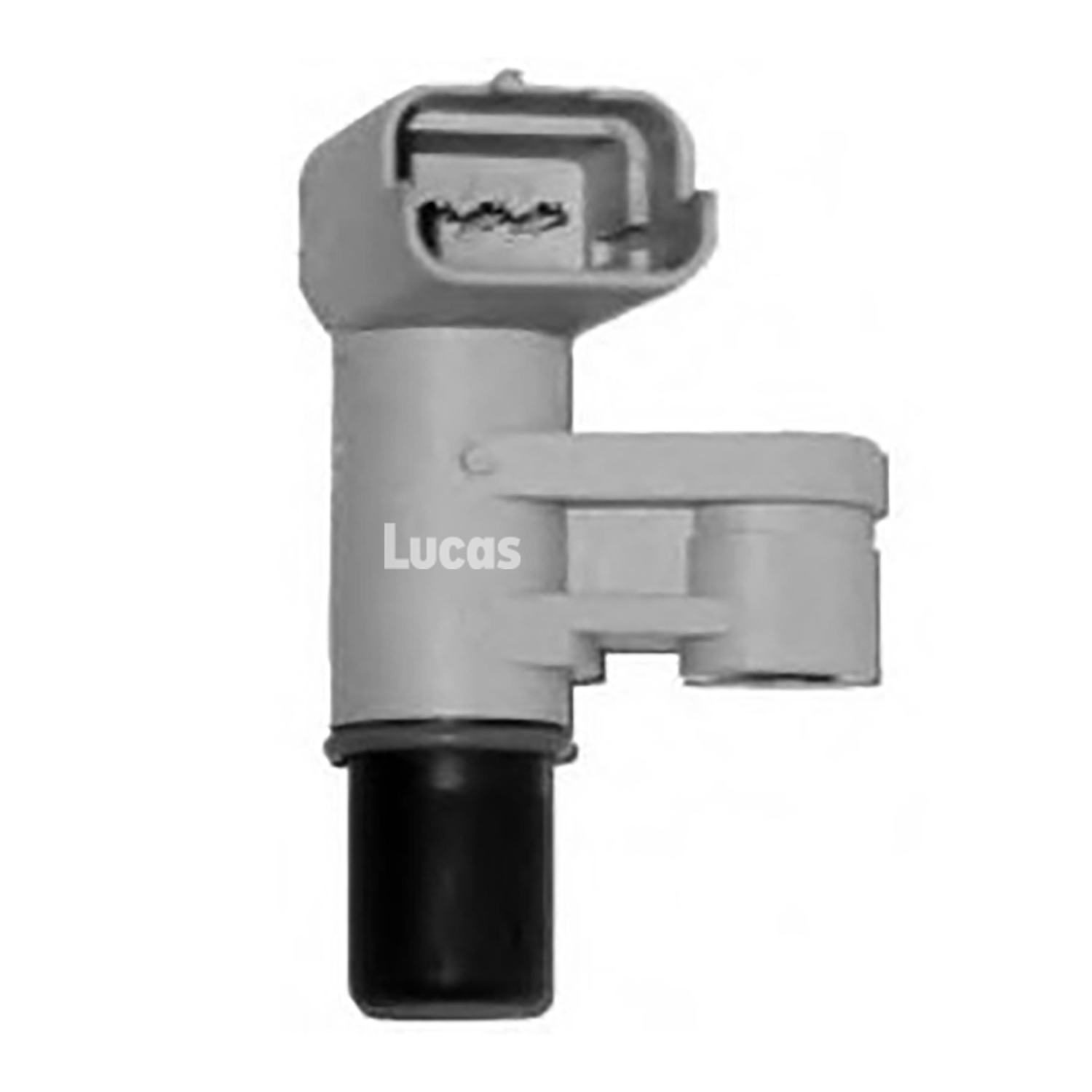 Lucas LEMSR293