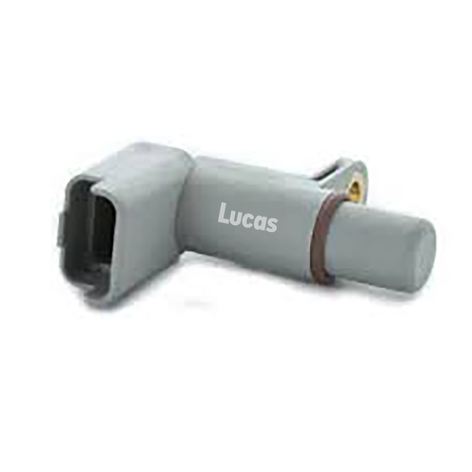 Lucas LEMSR294