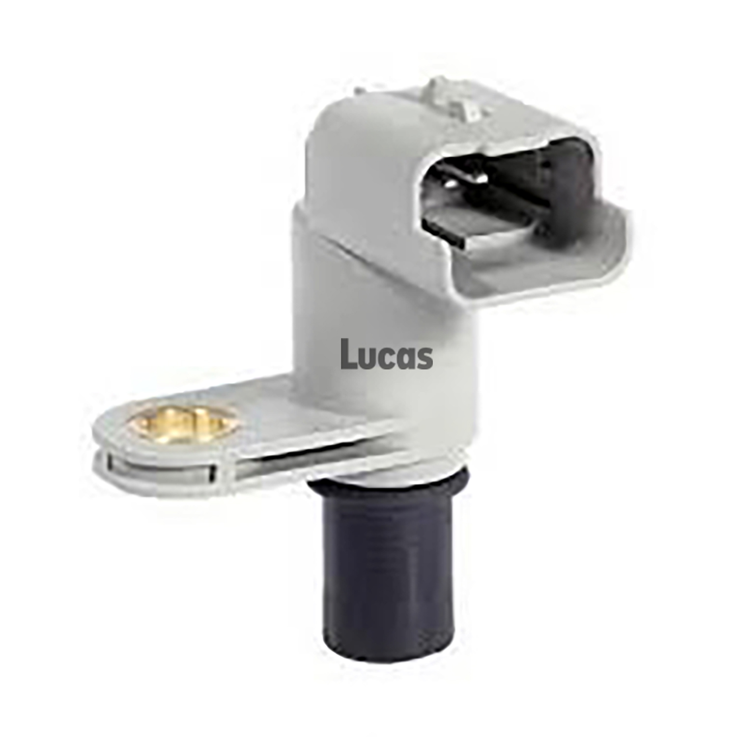 Lucas LEMSR295