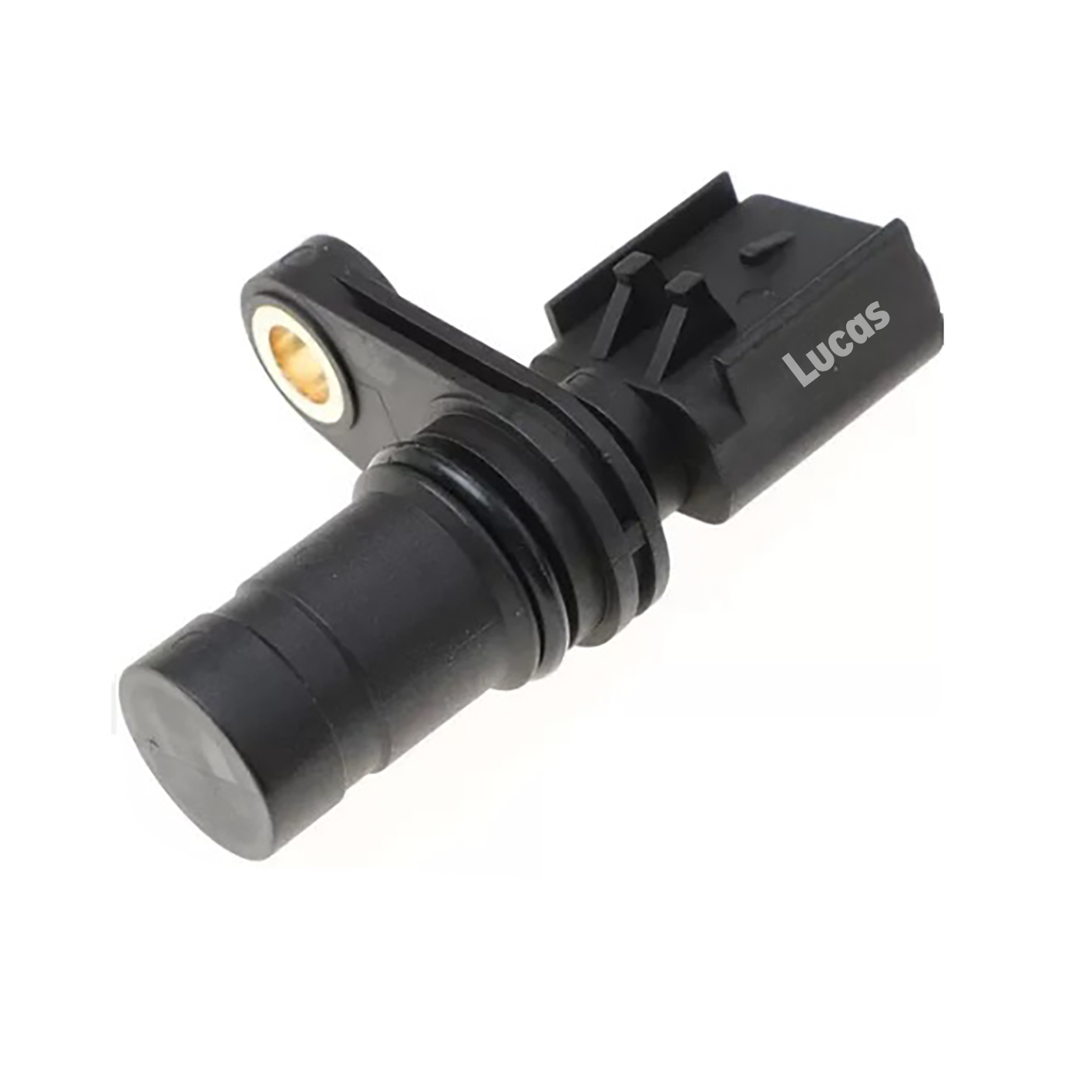 Lucas LEMSR297