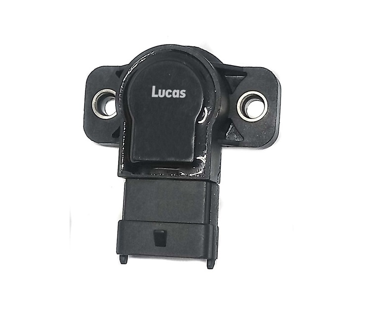 LEMST035