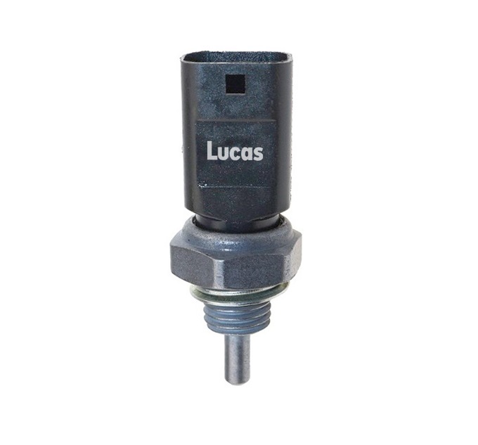 Lucas LEMSTP006