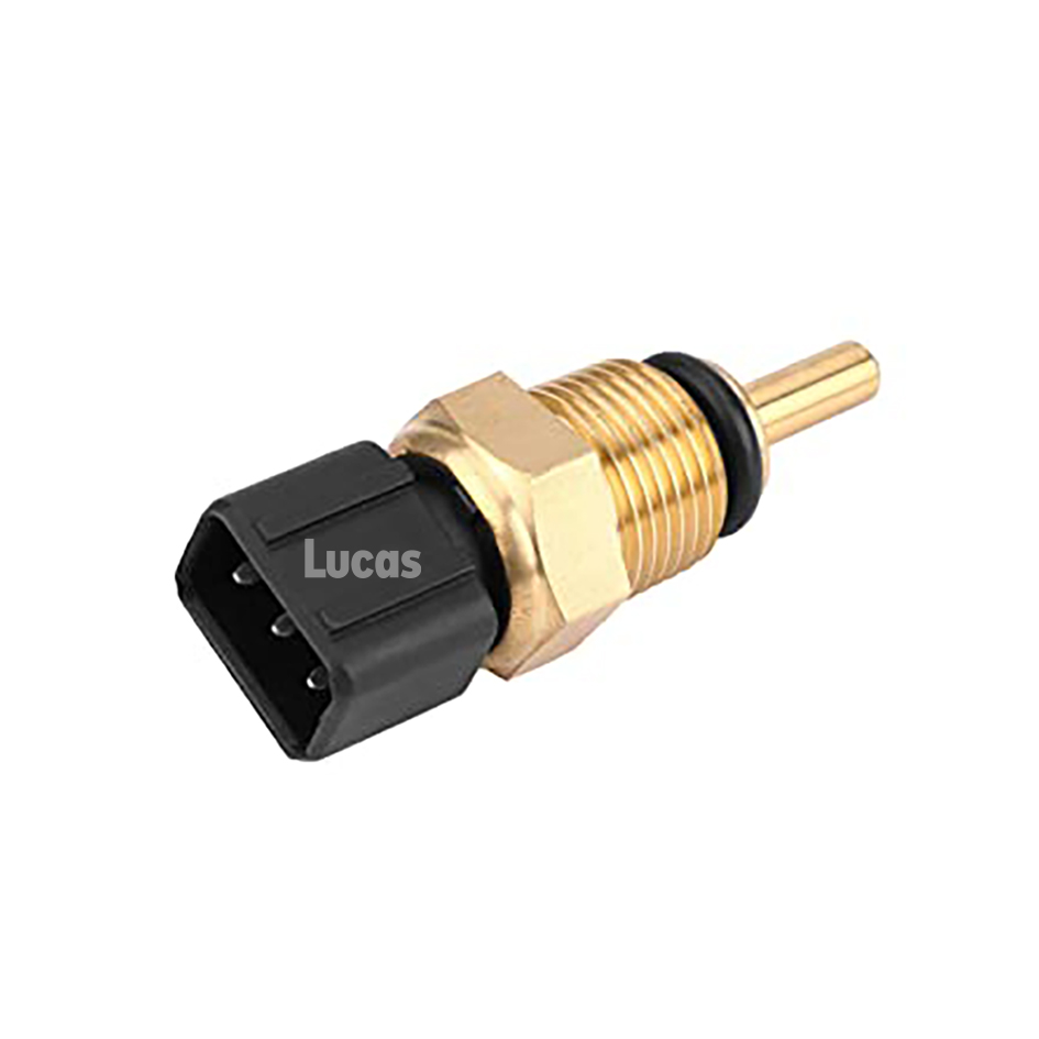 Lucas LEMSTP102