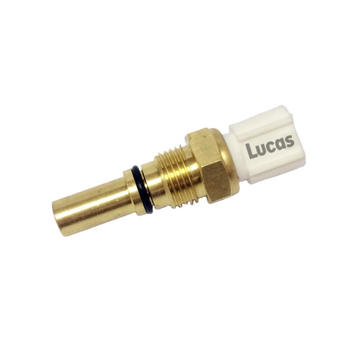 Lucas LEMSTP113
