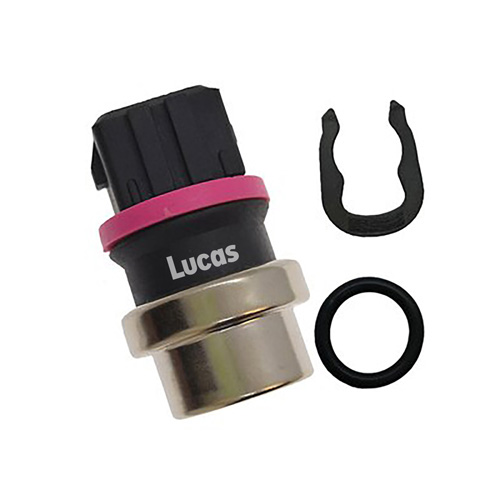 Lucas LEMSTP118