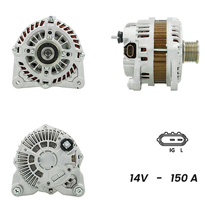 LRAN0TJ2481