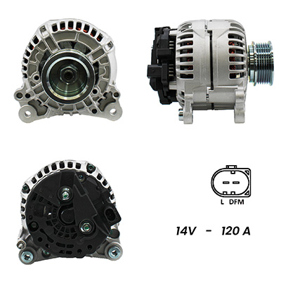 LRAN515013